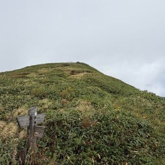 ここから肩の小屋までも急な登りだが中ゴー尾根と比べれば穏やか