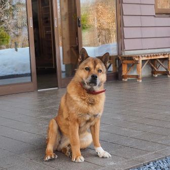 手白澤温泉に到着。
お出迎えしてくれました！