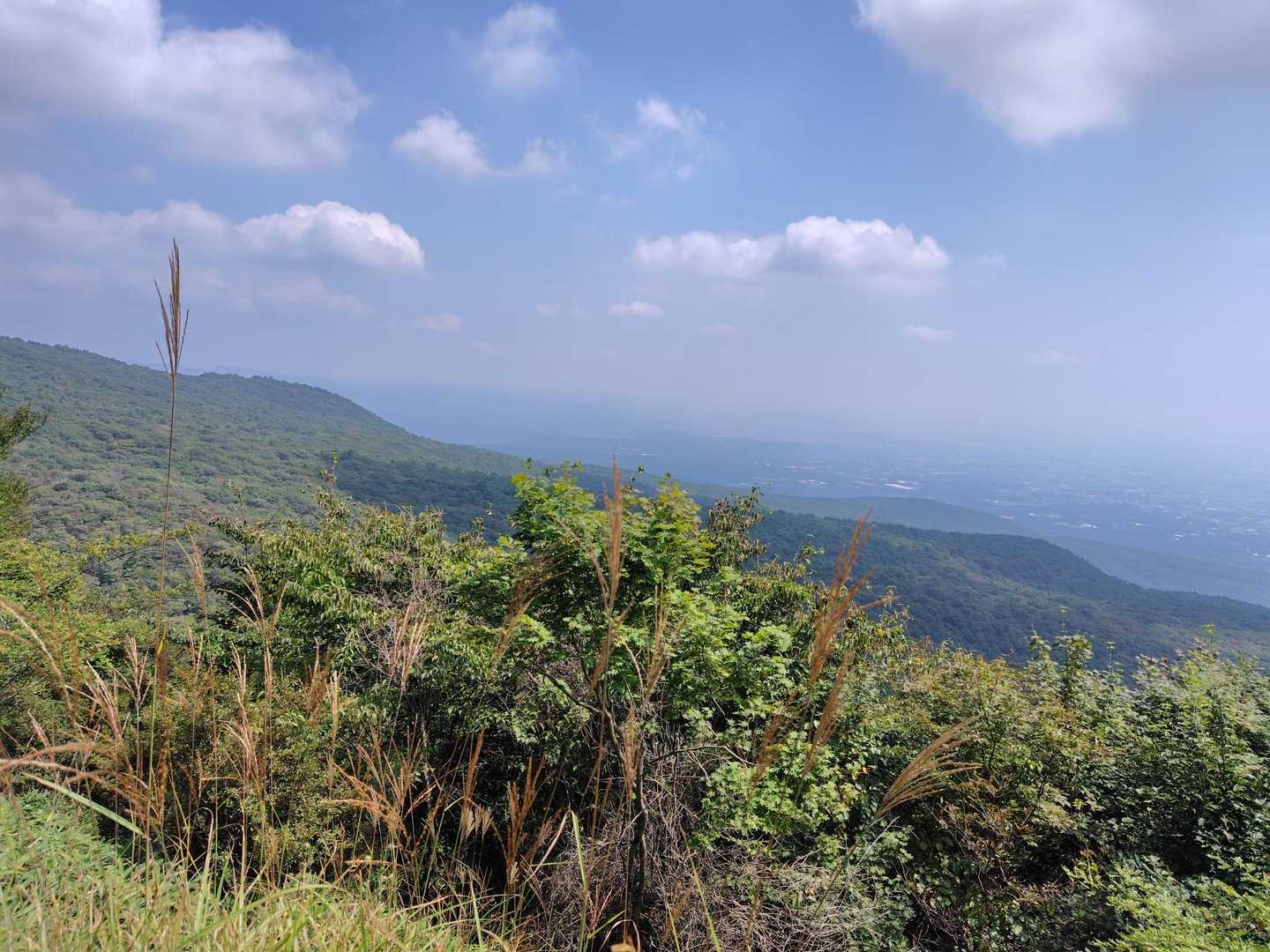 火起山-鍋割山-荒山 周回コースの写真
