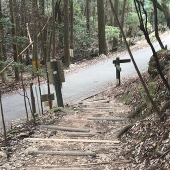 というわけで帰りは山頂からほぼ走っての下山
ここまで1時間52分、あと8分で駐車場にたどり着けるか？？
下りのスピードをこれ以上上げるとコケそうなのであくまで安全なスピードで駆け足します

このアスファルトはホント地獄（楽しくない）