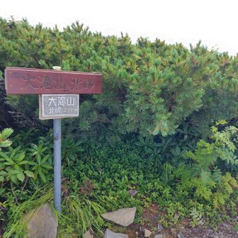 大滝山北峰にはテント設営中の方々が
いらしてビックリとりあえず看板撮影