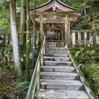 金華山（リス&伊奈波神社） / ちーさんの登山データ | YAMAP / ヤマップ