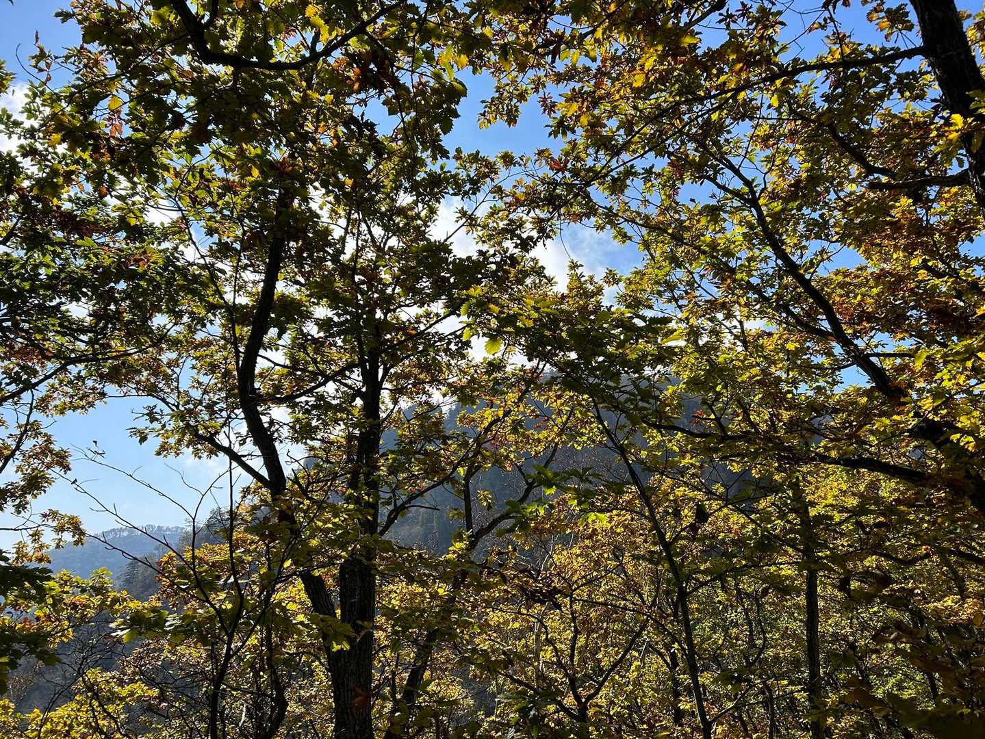 見えへんケド、あの山頂を目指す🤣