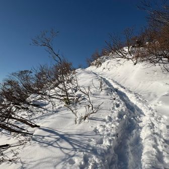 ガシガシ登っていると💦
