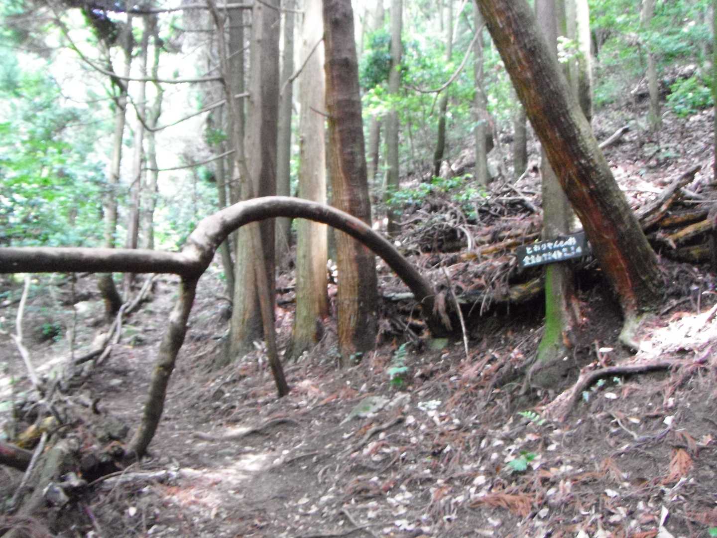 お約束でパシャリ。