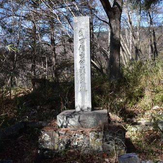 武田信玄公誕生の地だそう