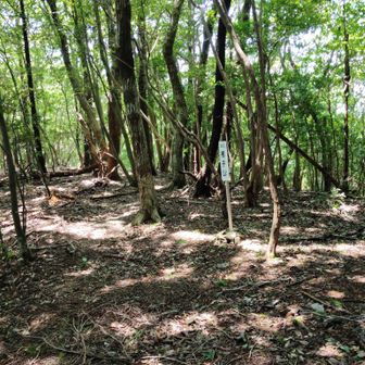 榑子（くれご）山