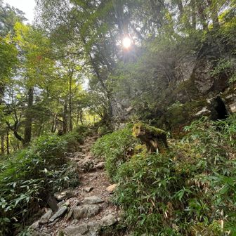 西島神社の大岩