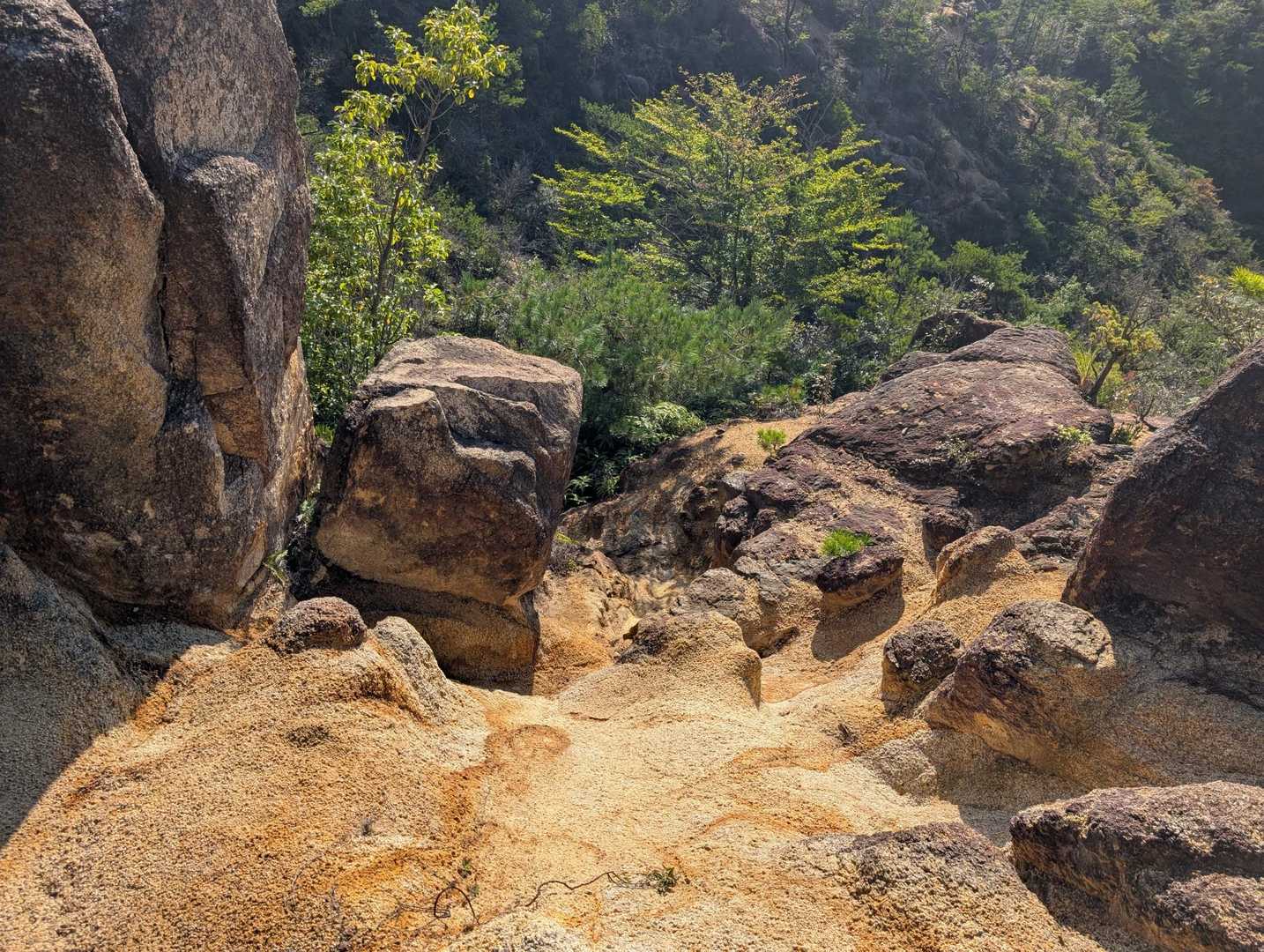 アルプス登山口バス停-堂山 周回コースの写真