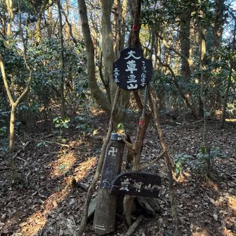 良かったみれて