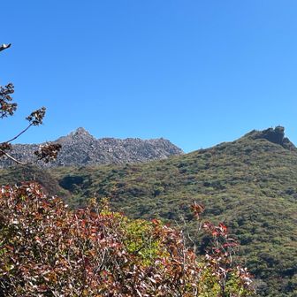 相棒が立ってた普賢岳の岩に人が立ってるのが見える