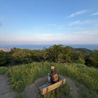 湘南平へ戻ってきました