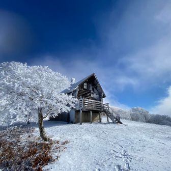 通称「サザエさんハウス」
雪があるとサザエさんっぽさがあまりないけど😆