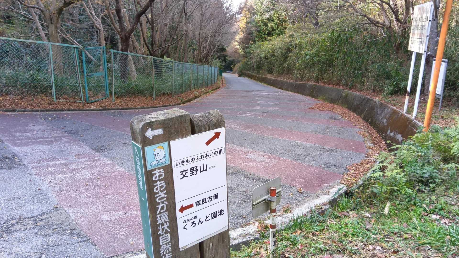 所々細くてすれ違い困難な場所がある道でした💦