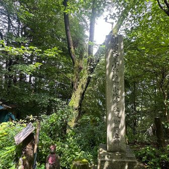 こちらが小仏峠（こぼとけとうげ）❗️
石碑には小佛峠とある🪨