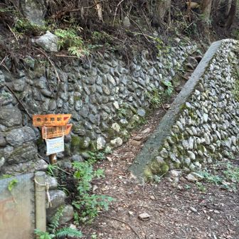 めっちゃ飛んでるけど、歩きまくって降りてきました！走りまくりました。