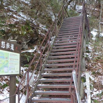 遊歩道への入口の階段
全く雪無しでした