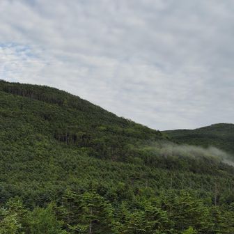 茶臼山と向こうが縞枯山。けっこう登りそう