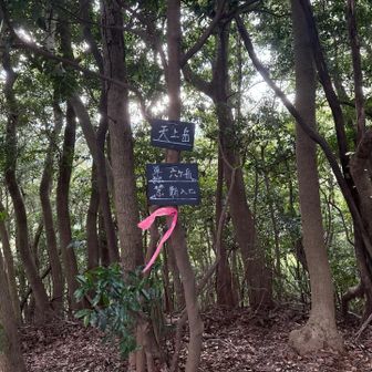 天上岳に到着。