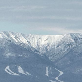金山⛩️今年三月に両親と以来二回目👀
早春初カタクリに心躍らせ
想いを屏風に馳せる❣️