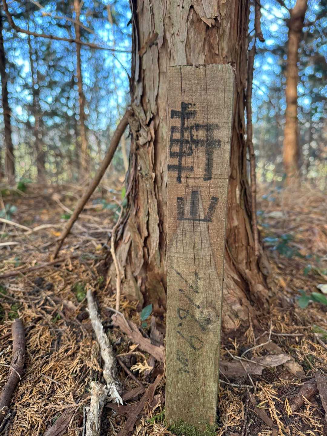 小さな山頂札