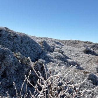立岩もキレイ。

雲仙の霧氷ポイントは
①妙見神社あたり
②国見岳の下
そして
③立岩から霧氷沢

だから、風穴から立岩への周回は絶対オススメ！
なのに、今日周回したの僕らだけみたい。