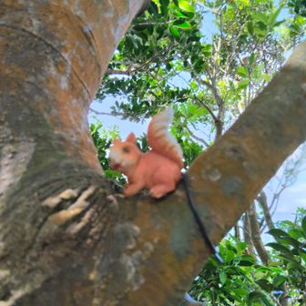 リス🐿️もいた