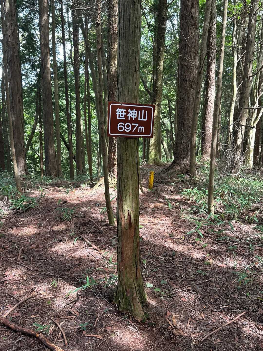 前回に続いて、笹神山には寄っておきます