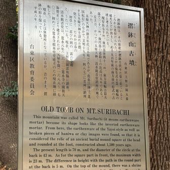 目当てのグレーピーク取り①