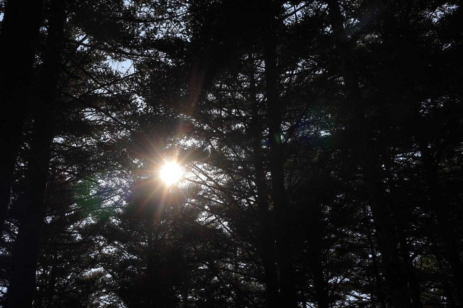 太陽☀