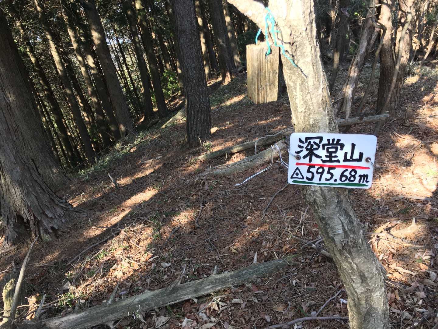 三角点　深堂山