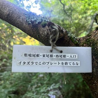 YAMAP破線ルートの県境尾根はこのプレートを右に入ります