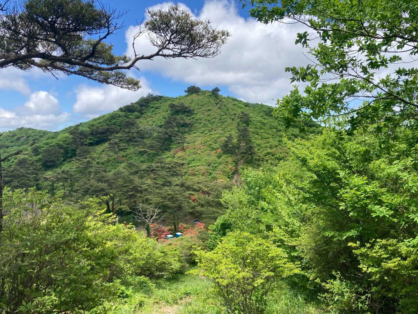 山頂へ