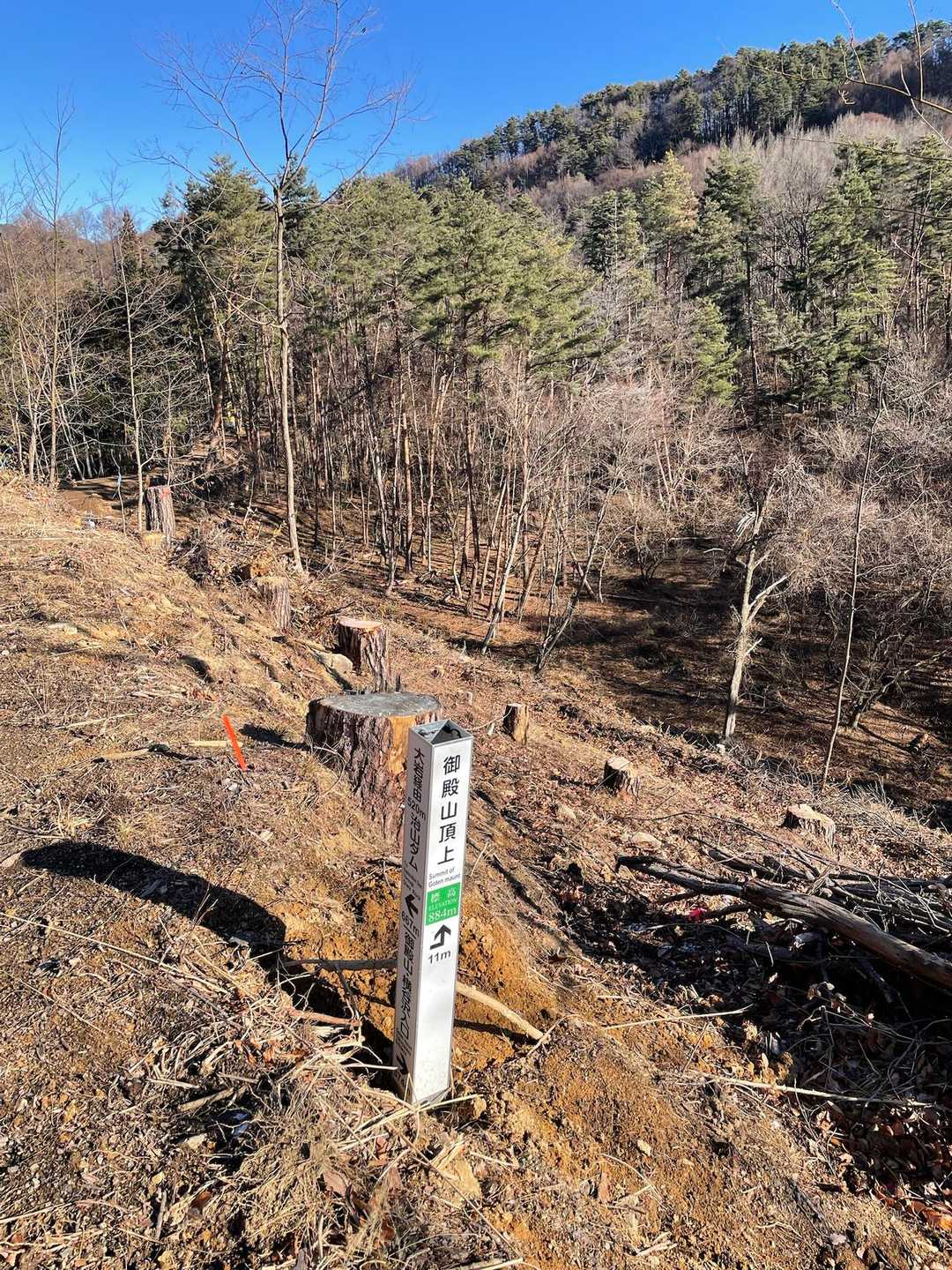 御殿山の頂上まで11m
