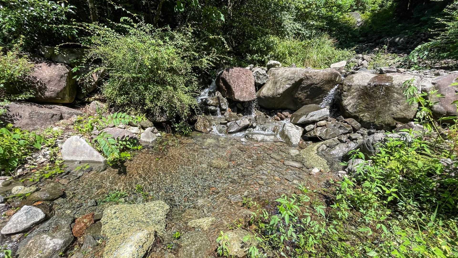 下山後ここでクールダウン水浴び🆒
