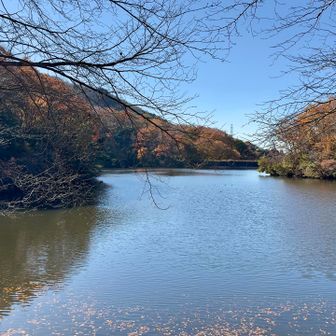 白旗池を反対側から　
少し風があるのか、さざなみが立ってます