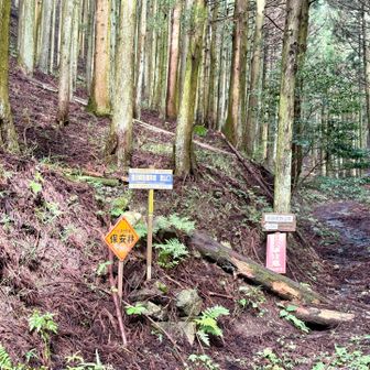 しばらく林道を歩き、この登山口から、取り付きます。