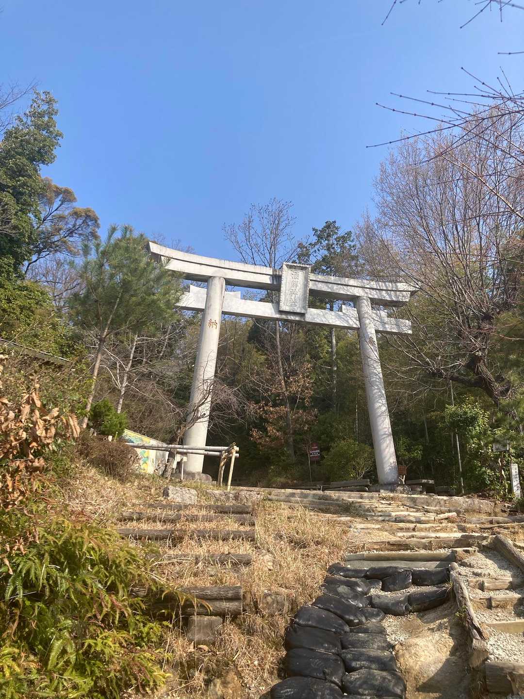 大きな鳥居が見えてきました