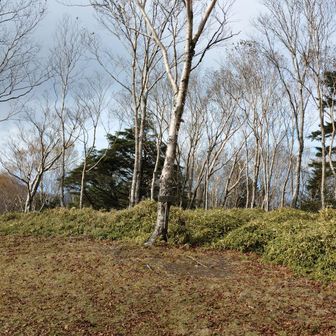 本日４座目「タカデッキ」の山頂です。