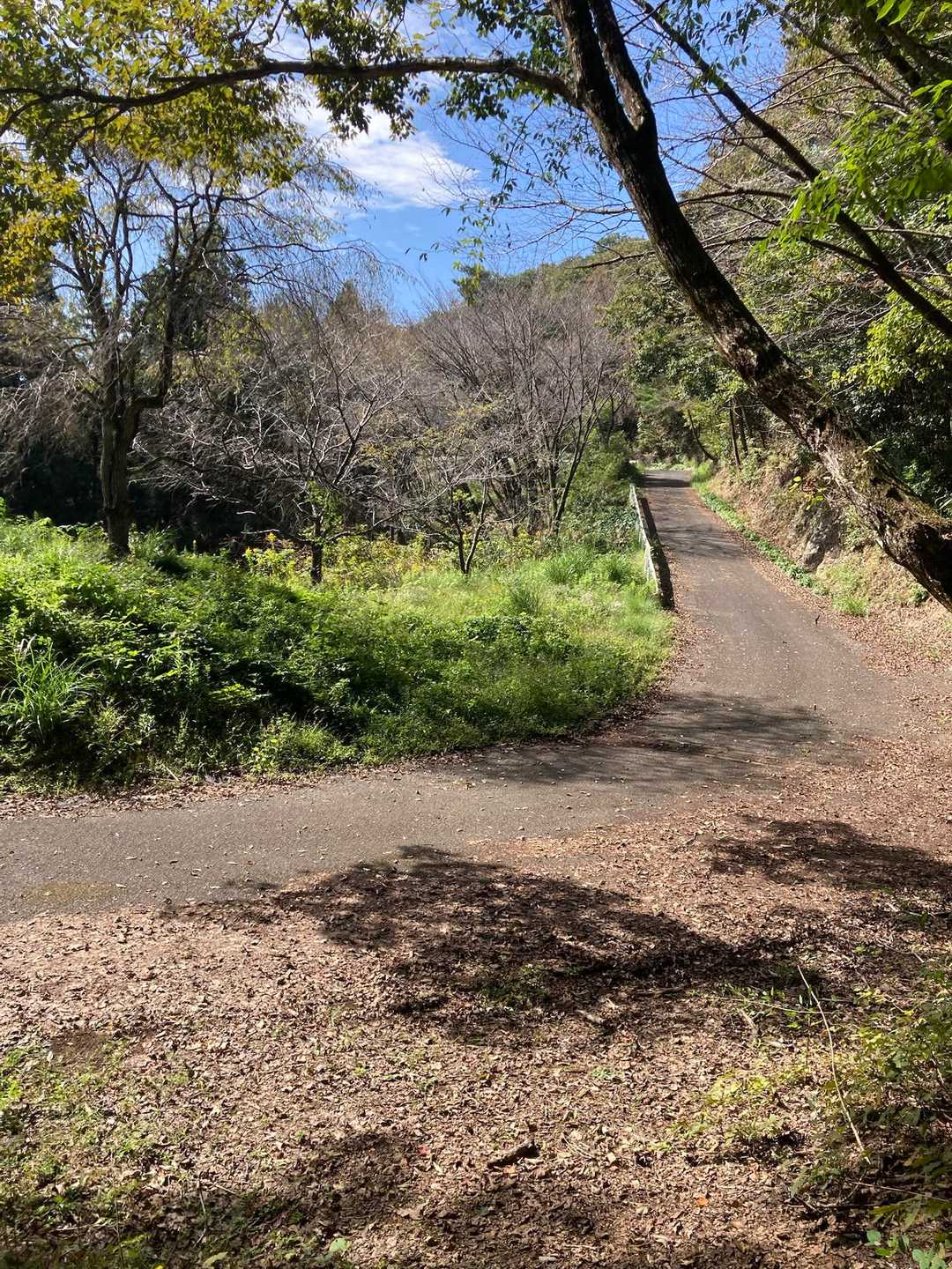 林道出た😊