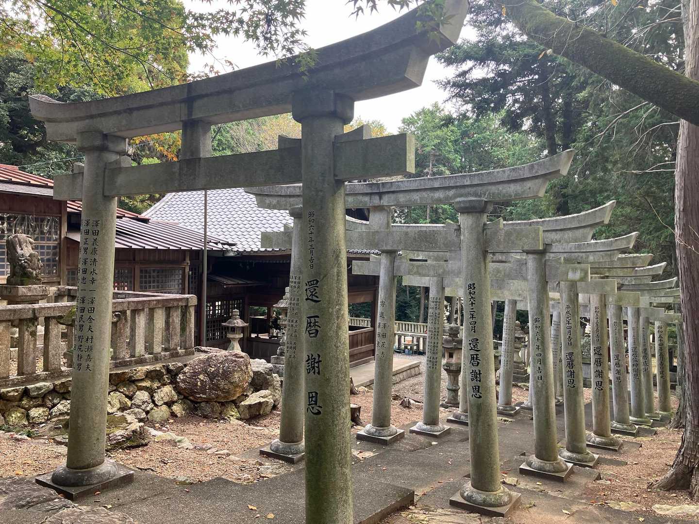 ただいま