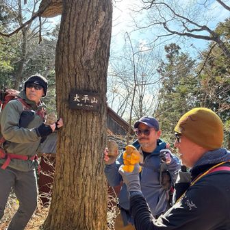 神社の裏に隠れてる、太平山