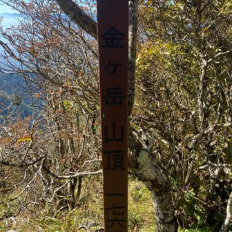 暗くて見えないが、金ヶ岳登頂