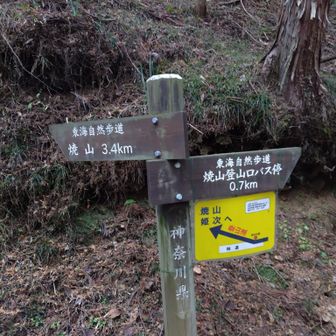 右手に今度こそ登山道入り口。いつかはここ経由で姫次、蛭ヶ岳もいいかもね😄