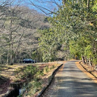 スタートです
駐車場は誰もいません
頂上以外は誰とも会いませんでした