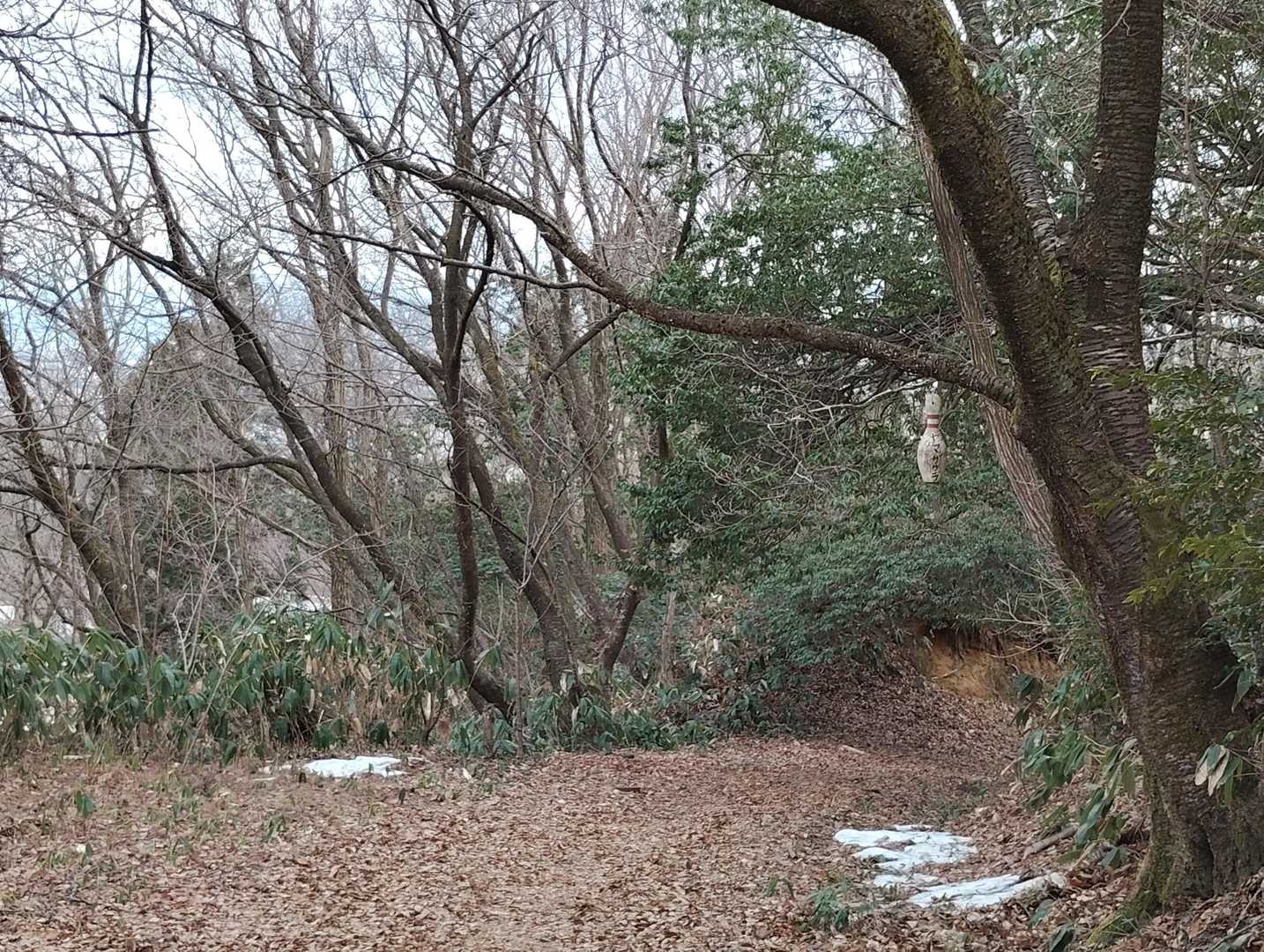今年の雪に耐え抜いたボーリングピン