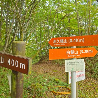 が、間違いに後で気づいた🤣
手前の分岐から登っちゃった。