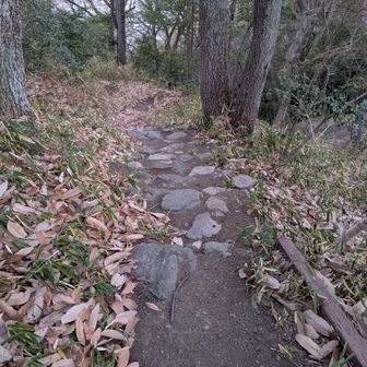 護国神社から御幸寺山へは石階段



