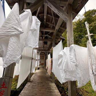 天気が悪くて、小屋も洗濯物が大変だ💦