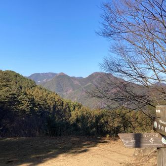 右側のが伊豆ヶ岳、左側で少しとんがってるのが武川岳？